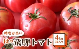 【ふるさと納税】秋の濃い味 飛騨トマト 4kg 大玉 トマト とまと 秋 野菜 期間限定 産地直送 野菜 飛騨高山 宿儺さま TR4286