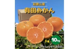 【ふるさと納税】和歌山県産　有田みかん　10kg　秀品