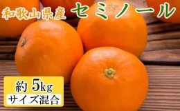 【ふるさと納税】和歌山県産セミノールオレンジ約5kg(サイズ混合　秀品)★2025年4月頃より順次発送【TM146】