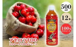 【ふるさと納税】アセロラ100　ストレート100％ジュース 500ml×12本