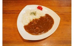 【ふるさと納税】DELICHA オリジナルカレーセット（10食入り）