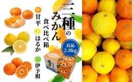 【ふるさと納税】【三種のみかん食べ比べ箱】甘平・はるか・宮内伊予柑 （良品）約2.8kg ＜2025年2月頃発送＞ 愛媛 松山 みかん 詰め合わ