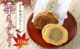 【ふるさと納税】栗まんじゅう　10個  おかし お菓子 くり 冷凍 饅頭 まんじゅう おやつ お茶請け 短冊熨斗のみ  TR4448