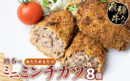 【ふるさと納税】飛騨牛入りミニミンチカツ（国産１００％）8枚入り　 お惣菜 メンチカツ レンジで お手軽 冷凍 揚げ物 和牛  肉 お取り