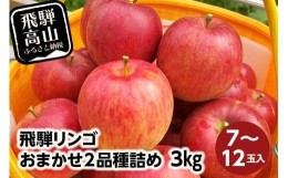 【ふるさと納税】飛騨リンゴ 3kg 7-12玉入り おまかせ２品種 食べ比べ 果物 りんご フルーツ 9月 10月 11月 季節もの 飛騨高山 ぜんぞう