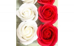 【ふるさと納税】赤×白：Flower balloon ( フラワー バルーン )  ソープ フラワー 5本 置き型タイプ 韓国 お花 贈り物