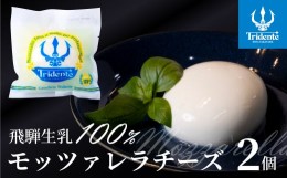 【ふるさと納税】モッツァレラチーズ （1個125g）２個 セット　チーズ モッツァレラ 冷蔵  個包装 カプレーゼ パスタ ピザ  前菜 サラダ 