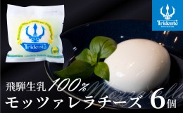 【ふるさと納税】モッツァレラチーズ （1個125g）６個 セット　チーズ モッツァレラ 冷蔵  個包装 カプレーゼ パスタ ピザ  前菜 サラダ 