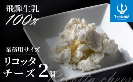 【ふるさと納税】リコッタチーズ 250g　2個セット　リコッタ 冷蔵 サラダ  お菓子    前菜 サラダ 新鮮 生乳 国産 低温殺菌 乳製品 無添