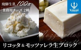 【ふるさと納税】リコッタチーズ 250g 1個 & モッツァレラチーズ生ブロック 750g 1個 リコッタ モッツァレラブロック 冷蔵 サラダ  お菓