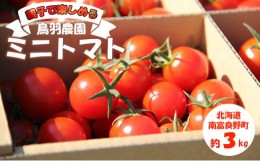 【ふるさと納税】あま〜い！ ミニトマト 約3kg 北海道 南富良野町 鳥羽農園 トマト とまと ミニトマト 野菜 大容量 甘っこ 甘い