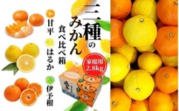 【ふるさと納税】【三種のみかん食べ比べ箱】甘平・はるか・宮内伊予柑 （家庭用）約2.8kg　＜2025年2月頃発送＞ 食べくらべ 愛媛 みかん