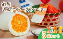 【ふるさと納税】道後ミルクチーズケエキ 5種セット チーズケーキ お菓子 スイーツ おやつ  ( ふるさとチョイス ふるさと納税 ランキング