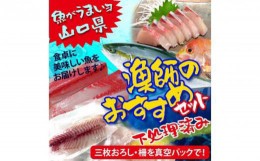 【ふるさと納税】（3ヶ月定期便）山口県 漁師 厳選 鮮魚 詰め合わせ サクセット（下処理済）【山口県 宇部市 魚 漁師 新鮮 おいしい 魚 