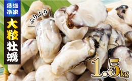 【ふるさと納税】牡蠣 1.5kg ( 500g × 3 ) 国産 冷凍 牡蠣 急速凍結だからこその美味しさ! 冬 の 鍋 の季節に もつ鍋 水炊き 寄せ鍋 に