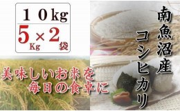 【ふるさと納税】【令和６年産新米予約／令和6年9月下旬より順次発送】　南魚沼産コシヒカリ「八龍の尾」10kg(5kg×2)