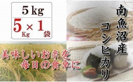 【ふるさと納税】令和５年産　南魚沼産コシヒカリ「八龍の尾」５ｋｇ