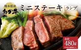 【ふるさと納税】熊本県産 あか牛 ミニ ステーキ 480g ランプ 牛肉