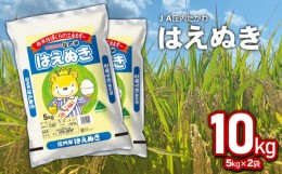 【ふるさと納税】【令和5年産】 はえぬき 精米 10kg (5kg×2袋) 山形県鶴岡市産 【JA庄内たがわ】