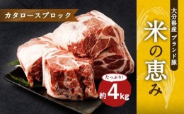 【ふるさと納税】大分県産ブランド豚「米の恵み」カタロースブロック 4.0kg (2.0kg×2) 豚肉 肩ロース