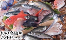 【ふるさと納税】旬の高級魚お任せセット / 田中鮮魚店 / 長崎県雲仙市