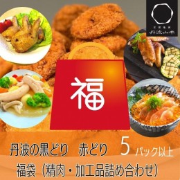 【ふるさと納税】期間限定 鶏肉・加工品 お楽しみ 福袋（小）＜京都亀岡丹波山本＞おまかせ 5品 詰め合わせ 人気・チキンカツ30枚入