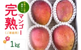 【ふるさと納税】【2024年発送】伊敷さん家の美味しい完熟マンゴー1kg（ご家庭用）