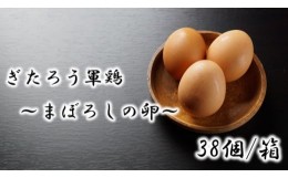 【ふるさと納税】【10-293】幻の卵　ぎたろう軍鶏の生みたてたまご38個