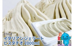 【ふるさと納税】ジェラテリア TiG（ティグ）イタリアンジェラート 無着色・無香料 ピスタチオ 2000ml（2L）