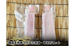 【ふるさと納税】国産天然本マグロの赤身・中トロセット　C-03