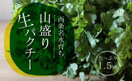 【ふるさと納税】西条名水育ちの山盛り生パクチー1.5kg