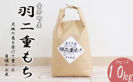 【ふるさと納税】≪令和5年産新米≫岐阜県産羽二重もち10kg（5kg×2）