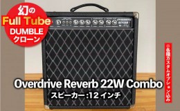 【ふるさと納税】【ギターアンプ】ギター チューブアンプ  Overdrive Reverb 22W-12インチ Combo ダンブル クローン 幻の 手作り 高級 ア