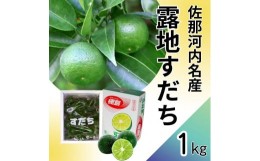 【ふるさと納税】[?5852-0064 ]佐那河内名産！露地すだち　1kg　※2024年8月下旬頃から発送　※離島不可