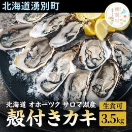 【ふるさと納税】先行予約 【国内消費拡大求む】 北海道 オホーツク サロマ湖産 殻付き カキ 生食可 3.5kg 牡蠣職人厳選 牡蠣 国産 貝付