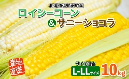 【ふるさと納税】北海道産 とうもろこし ロイシーコーン サニーショコラ 計18〜20本 10kg前後 L-LLサイズ 旬 スイート コーントウモロコ