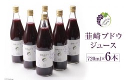 【ふるさと納税】ぶどう 100% 韮崎ブドウジュース 720ml×6本 ぶどうジュース 葡萄 ストレート ジュース / Creation farm / 山梨県 韮崎