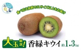 【ふるさと納税】大玉厳選(3Lサイズ以上)!香緑キウイ　約1.3kg【2025年1月上旬〜2025年3月上旬配送】