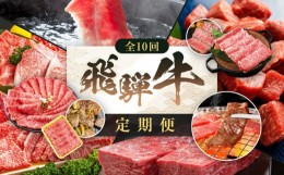 【ふるさと納税】飛騨牛 定期便 全10回 牛肉 ( ステーキ / 焼肉 / しゃぶしゃぶ / すき焼き ) | 肉 食べ比べ A5 霜降り ロース もも サー