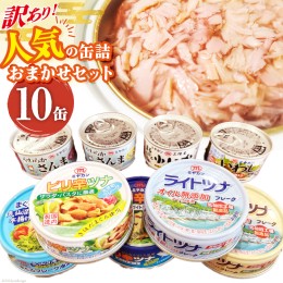 【ふるさと納税】【訳あり】 お任せ缶詰バラエティセット 10缶 缶詰 ツナ缶 さば缶 さんま缶 いか缶 いわし缶 [ミヤカン 宮城県 気仙沼市