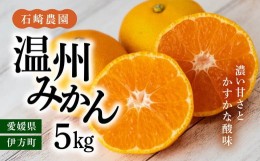 【ふるさと納税】【先行予約】【数量限定】温州みかん5kg【石崎農園】｜柑橘 みかん 温州みかん ミカン 蜜柑 果物 フルーツ 愛媛県産※離