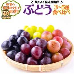 【ふるさと納税】ブドウはこれだっぺセット【令和6年8月より発送開始】田舎の頑固おやじが厳選！ [BI38-NT]