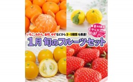 【ふるさと納税】旬のフルーツセット 1月号 【令和7年1月より発送開始】田舎の頑固おやじが厳選！ [BI78-NT]