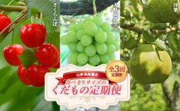 【ふるさと納税】【令和6年産先行予約】 《定期便3回》 食べきりサイズの くだもの定期便 『南陽中央青果市場』 フルーツ 山形県 南陽市 