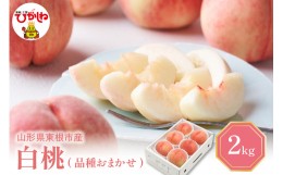 【ふるさと納税】白桃 (品種おまかせ) 2kg (5〜8玉) 東根農産センター提供