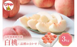 【ふるさと納税】白桃 (品種おまかせ) 3kg (7〜12玉) 東根農産センター提供