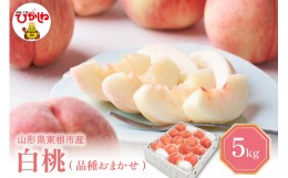 【ふるさと納税】白桃 (品種おまかせ) 5kg (12〜18玉) 東根農産センター提供