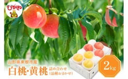 【ふるさと納税】白桃＆黄桃 詰め合わせ (品種おまかせ) 2kg (5〜9玉) 東根農産センター提供