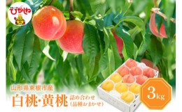 【ふるさと納税】白桃＆黄桃 詰め合わせ (品種おまかせ) 3kg (7〜12玉) 東根農産センター提供