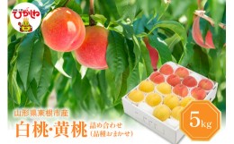 【ふるさと納税】白桃＆黄桃 詰め合わせ (品種おまかせ) 5kg (12〜20玉) 東根農産センター提供